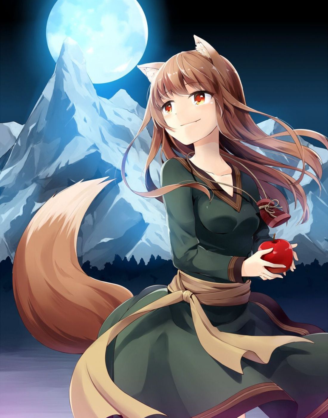 Dakimakura Spice And Wolf